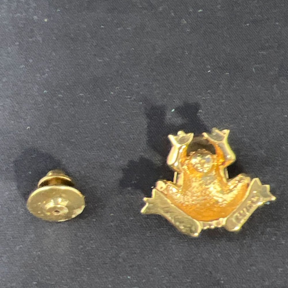 Avon Gold Tone, Enamel And Rhinestone Frog Lapel Pin (4305) - Picture 4 of 4